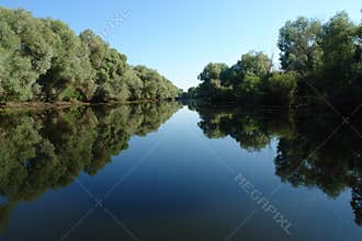 Danube delta