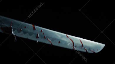 Sword Blade Drips Blood