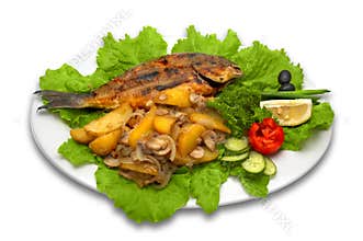 Whole griled dorada fish