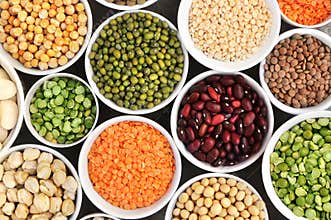 Mix of dry legume varieties: pinto and mung beans, assorted lentils, soyabean, yellow and green peas, chickpea; vegan high protein