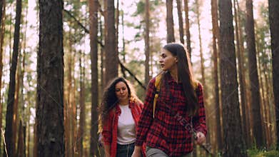 Young careless men and women are hiking in woods on sunny summer day carrying knapsacks, talking and smiling. Travelling