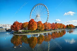 Great wheel of Montreal during fall season