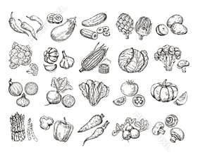 Sketch vegetables. Vintage hand drawn garden vegetable collection. Carrots broccoli potato salad mushroom farming vector
