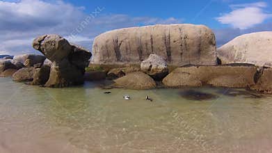 Boulder Beach South Africa