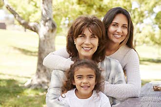 Three generations of women at a family picnic in a park