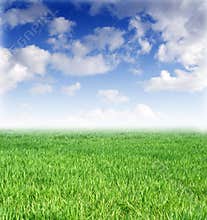 Spring lawn and beautiful blue sky