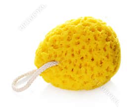 Bath Sponge