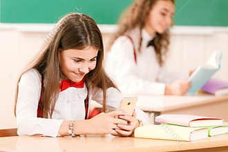 Schoolgirls in school uniforms sit for couples in the classroom. Girls go to school.