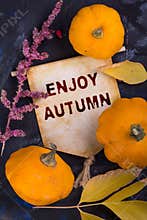Enjoy autumn