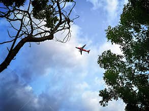 Airplane in the sky