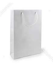 Paper bag