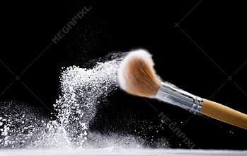 Powder brush