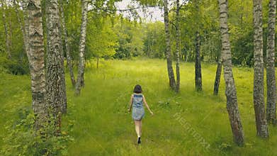 View from above young woman in forest. Smiling girl in birch grove