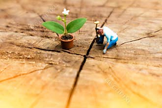 Miniature Greenhouse concept, miniature mini figures with planting tree and protect nature background. Replacement of old trees.