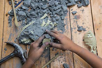 Educational archaeology toy