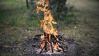 Little camp bonfire on the ground