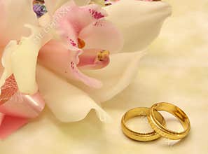 Orchid and Wedding Rings