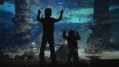 Marine life, curious children watch fishes swimming in large aquarium