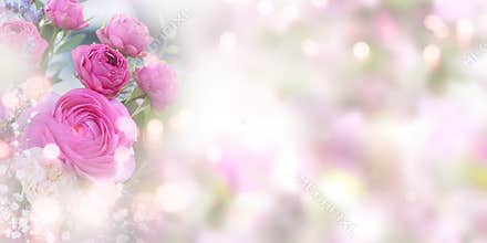 Tender pink roses background