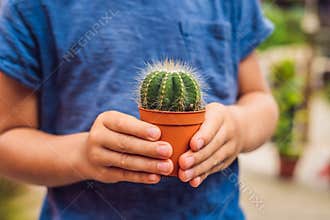 Cactus in the hands of the boy. little boy hugging his houseplant cactus
