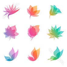 Pastel nature. Vector elements for design.