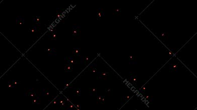 Fire sparks from campfire with ash rise over black background, danger