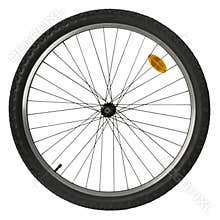 Bicycle wheel