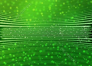 Abstract Curves and Bokeh in Blurred Green Background