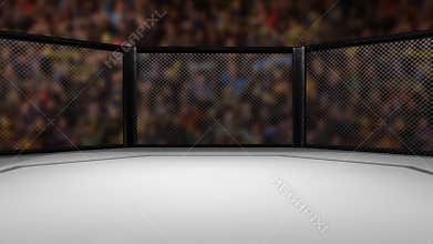 Empty mixed martial arts fight ring - 3D Animation of MMA Cage