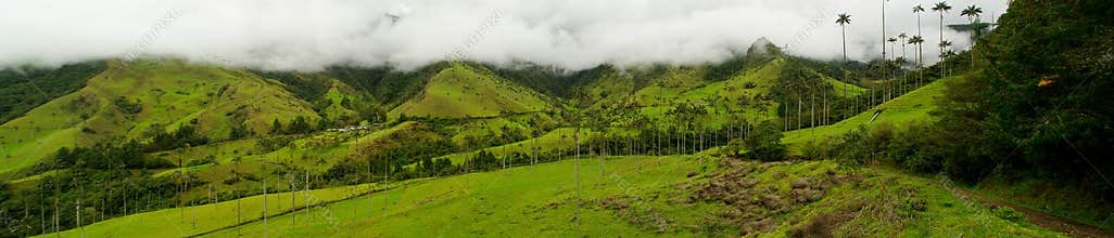 Colombia Coffee Region