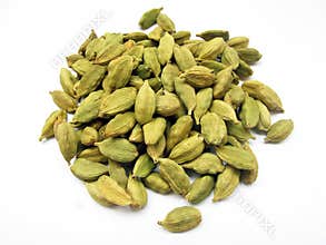 Cardamom