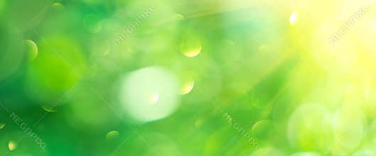 Beautiful nature abstract blurred background. Green bokeh backdrop. Summer or spring background with sun flares