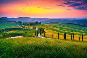 Summer Tuscany landscape at sunset with curved rural road, Italy
