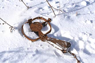 Trap set by a trapper in the winter