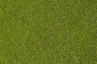 Artificial Grass Seamless Field Texture Background.