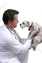 Medical Professional