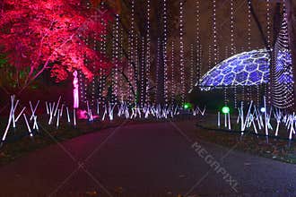 Missouri Botanical Garden Glow