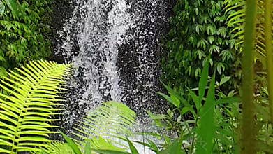 Waterfall in Ubud, Bali