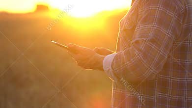 Close up farmers hands with tablet in wheat field at sunset. Modern farming, advanced technology in agriculture. Man