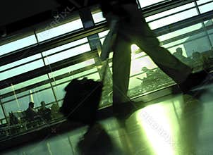 Making the Flight