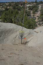 Disc Golf Basket in Farmington New Mexico