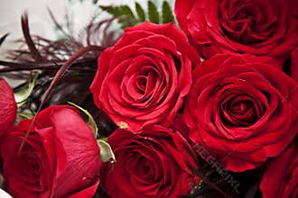 Red roses