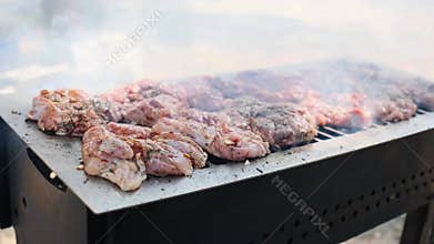 Grilled chicken. Grilled chicken meat, drumsticks with addition garlic, onion and rosemary on grill BBQ. Grill food,