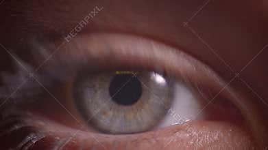 Close-up shoot of gray eye with reflection of yellow lamp on it watching into camera in darkness.