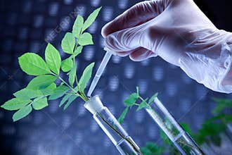 Scientist making experiments