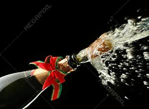 Champagne bottle ready for celebration