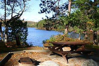 Perfect Picnic Spot