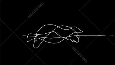 Bird Flying Continuous Line 2D Animation