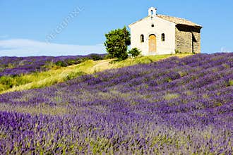 Provence