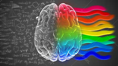 Creative and logical halves of human mind.